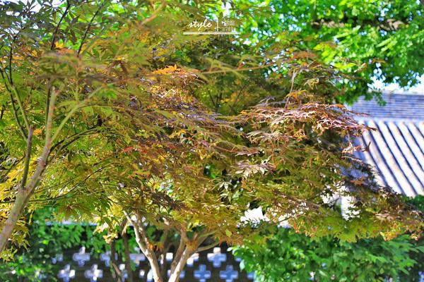 入住酒店的体验好评,华清御汤温泉