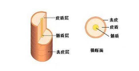 内马尔新发型引吐槽,内马尔泡面头2018