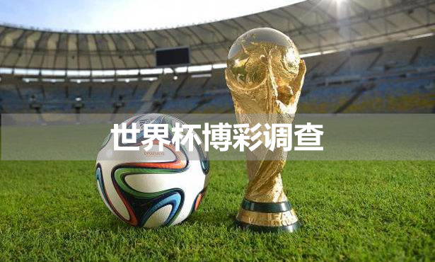 世界杯彩票店风波,世界杯竞猜彩票销售情况