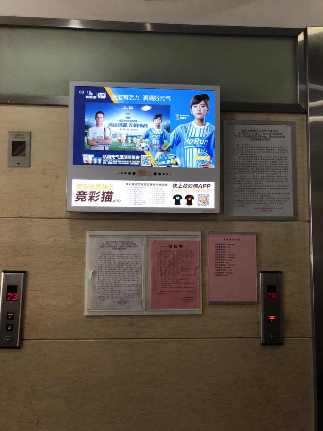 活润“世界杯”元气连击新希望琴牌紧跟赛点有“球”必应