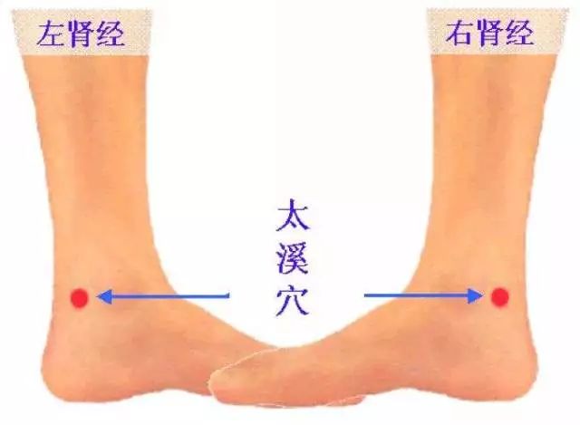 用艾灸治疗脱发灸哪个穴位,倪海厦针灸治疗脱发的穴位