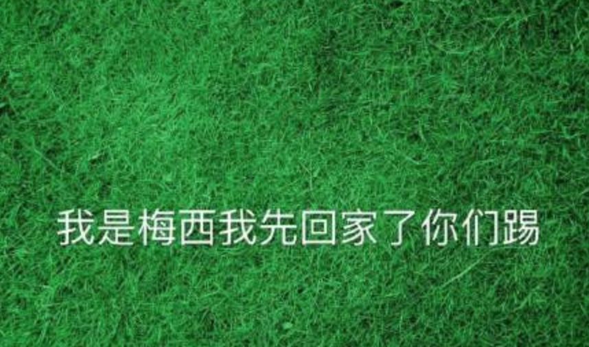 高晓松晓说阿根廷,高晓松讲解欧洲杯假球视频