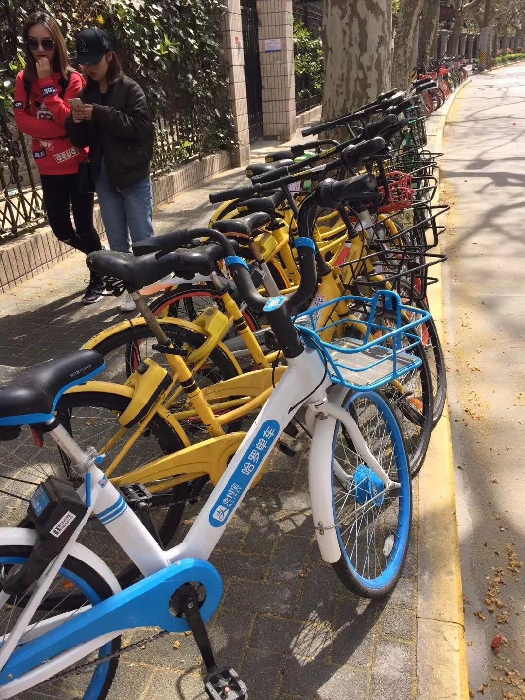 哈罗单车的隐忍与爆发：小心那个角落里的伙计