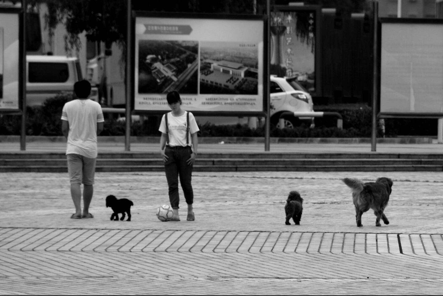 2022河南高考志愿填报哪个网站,2023河南高考志愿填报几个学校