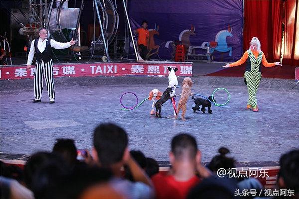 楼观之夜嘉年华,楼观台景区演出