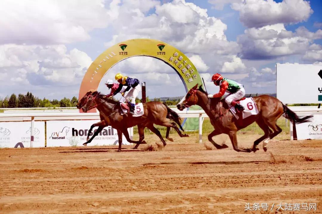 内蒙古伊泰杯2023,伊泰大漠马场