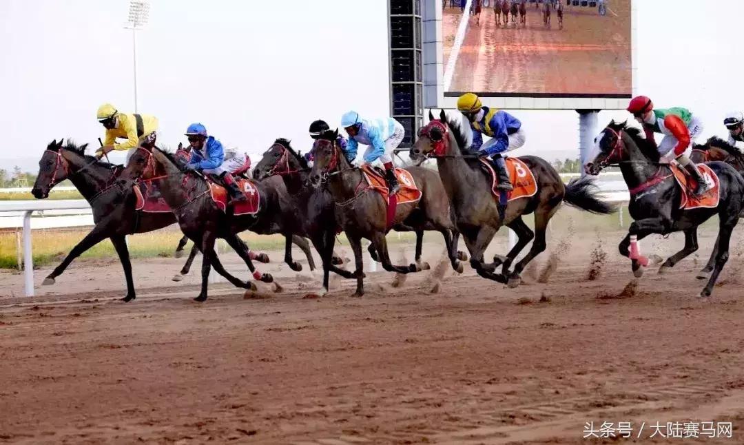 伊泰大漠马场,内蒙古伊泰杯2023