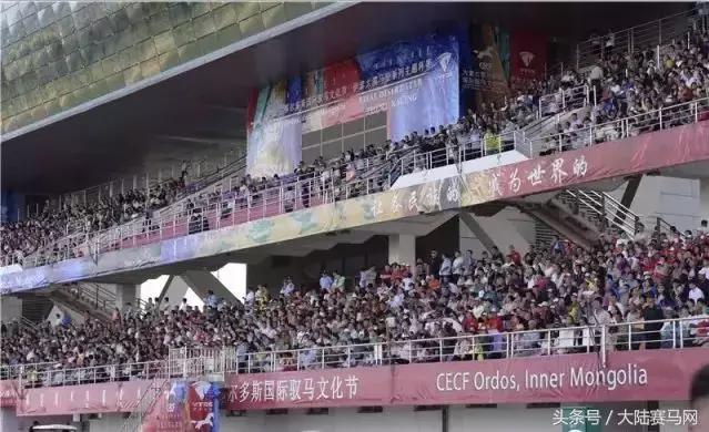 内蒙古伊泰大漠马业在哪里,内蒙古伊泰大漠马业