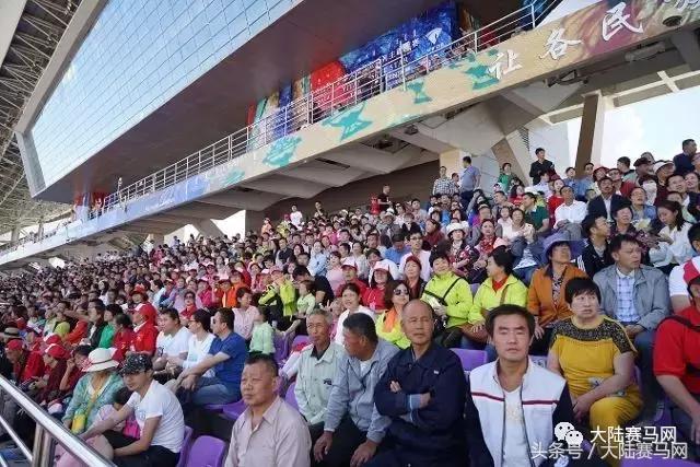 伊泰大漠马场,内蒙古伊泰杯2023