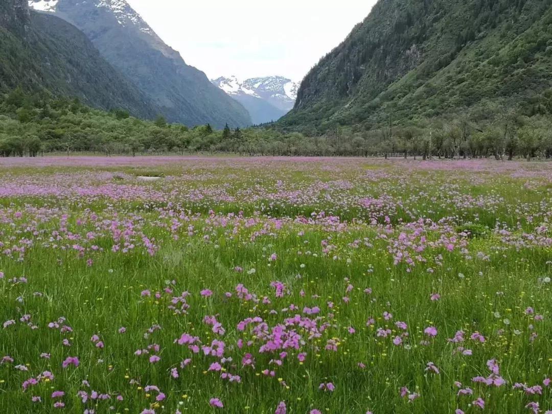 成都周边小众森林秘境,成都周边有山有水还免费的地方