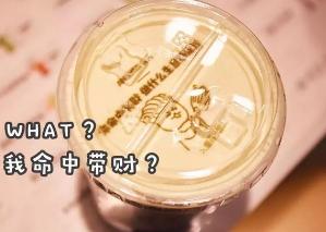 喜茶芝士奶盖波波奥利奥,芝士奶盖四季香喜茶