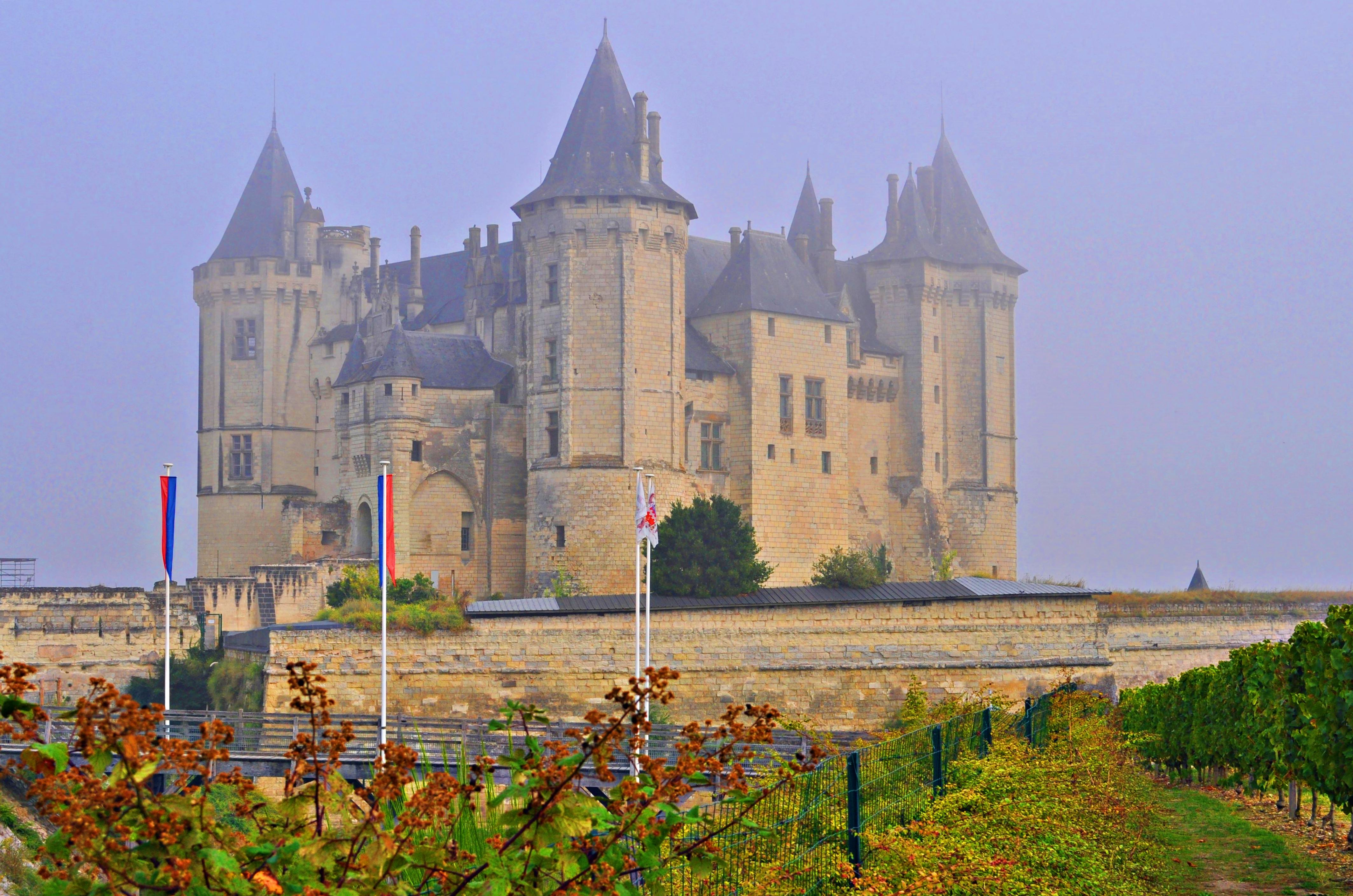 法国卢瓦尔河谷旅游攻略,卢瓦尔河城堡一日游