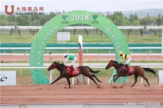 2018伊泰大漠马业系列纯血速度赛马赛事“鄂尔多斯金杯”圆满举办
