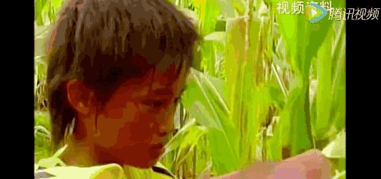 中国足球被骂的球员合集,盘点中国足球被骂