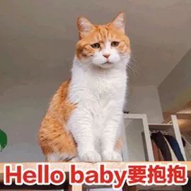 当世界杯遇到东北话,当世界杯遇到土味配音