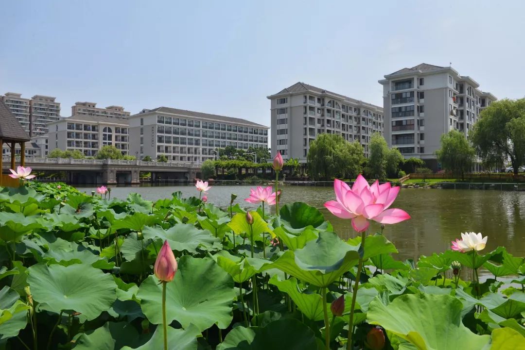 高考填报志愿推荐大学,浙江越秀外国语学院2022征集志愿