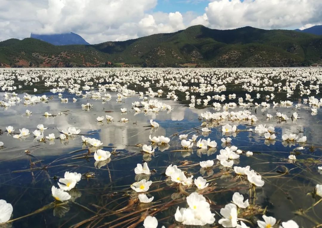 驻足眼前美景,泸沽湖的静谧之美