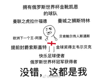 三狮军团让足球回家,三狮军团告别世界杯