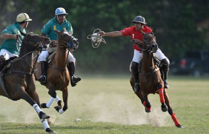 阿根廷的地理小报,阿根廷八卦