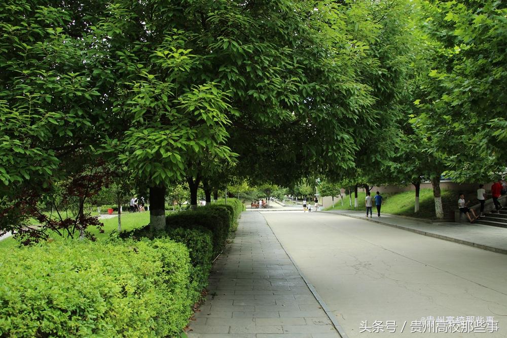 贵州专科报考征集志愿的学校,贵州专科学校何时填报志愿