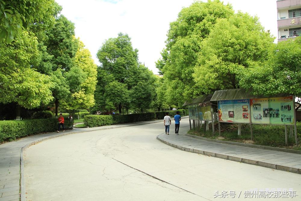 贵州专科报考征集志愿的学校,贵州专科学校何时填报志愿