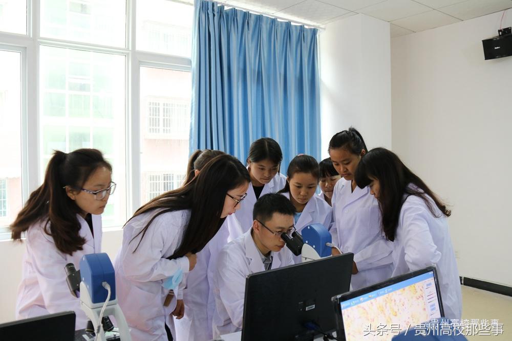 填志愿选贵州专科学校建议一下,贵州文史类大专院校