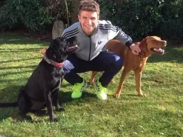 c罗梅西是怎么教育儿子的,c罗和梅西的狗