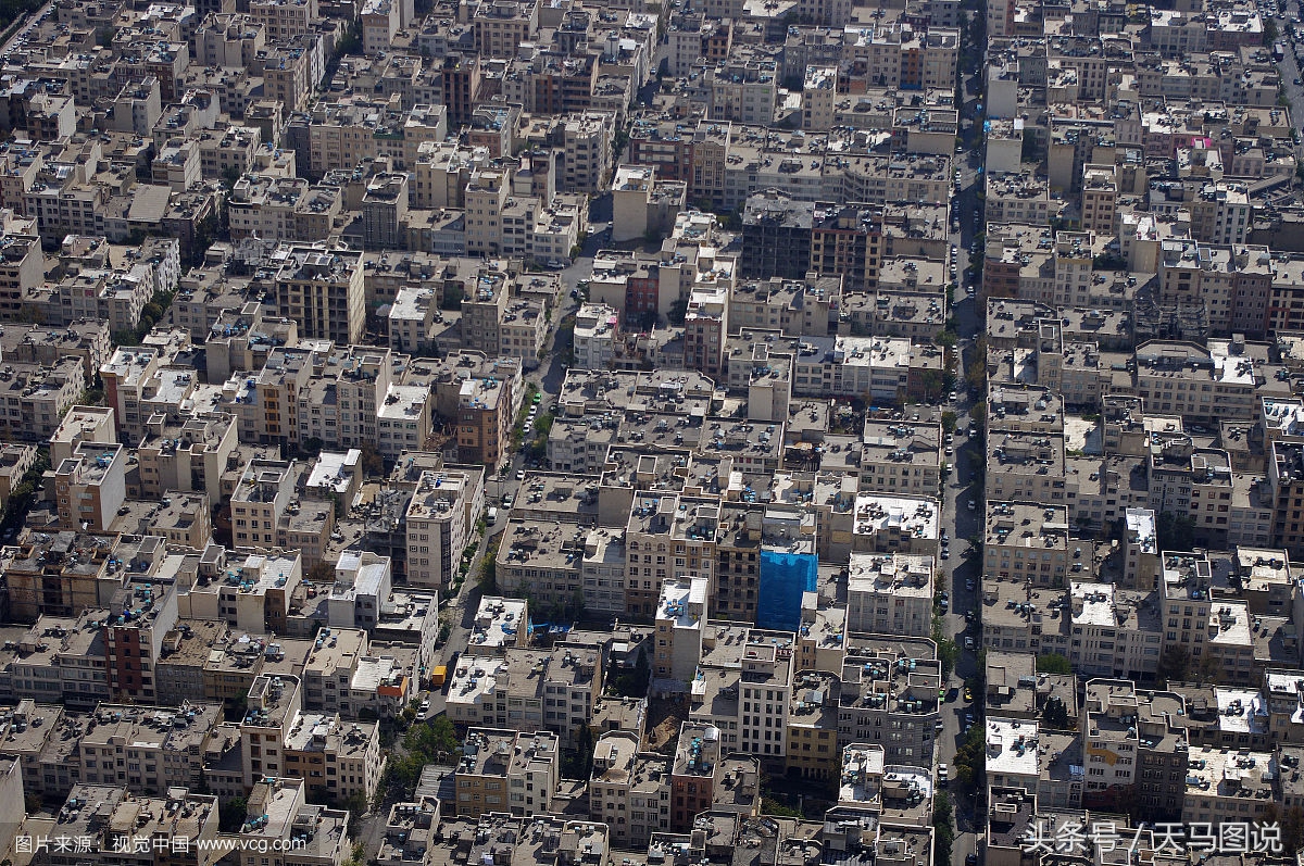 水泥森林,水泥丛林