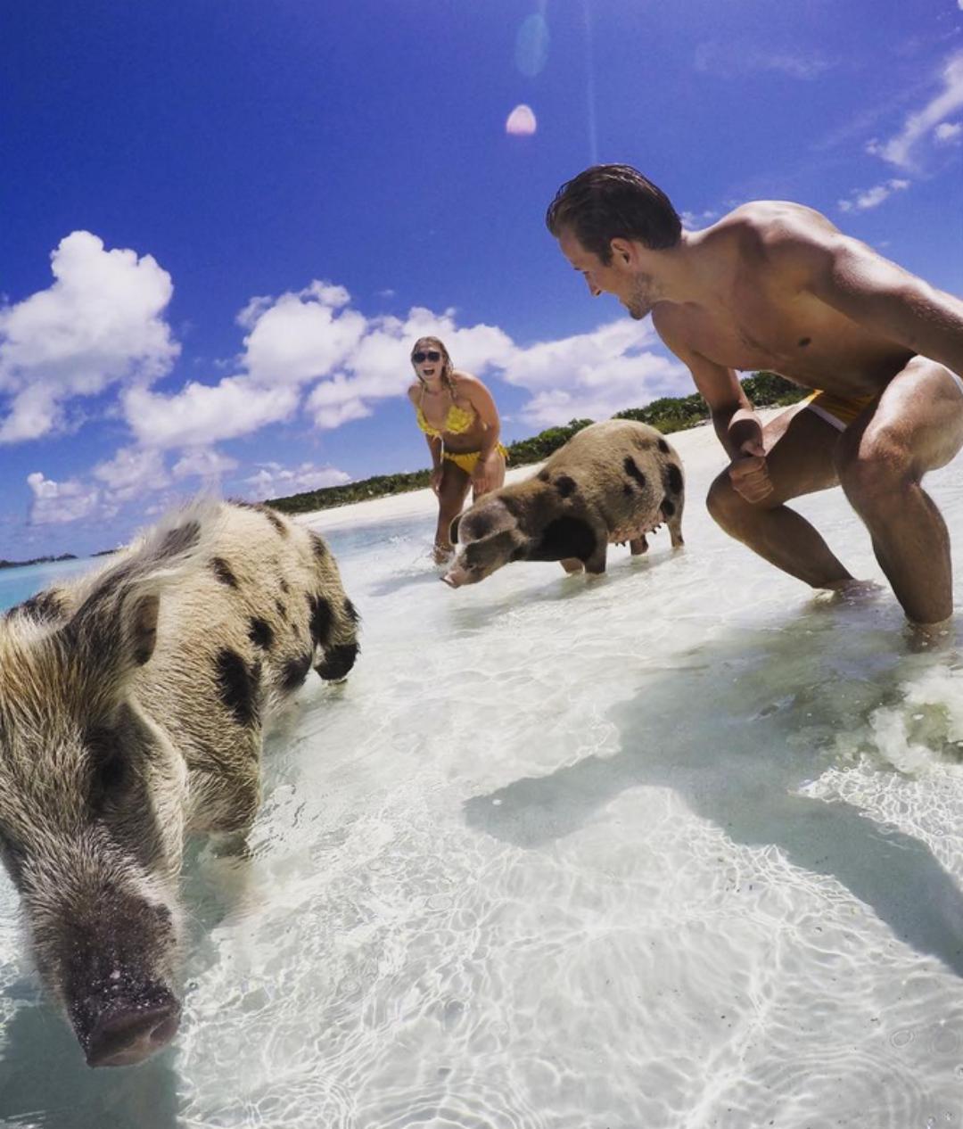 哈里凯恩领跑英超射手榜,哈里凯恩成为射手榜第一