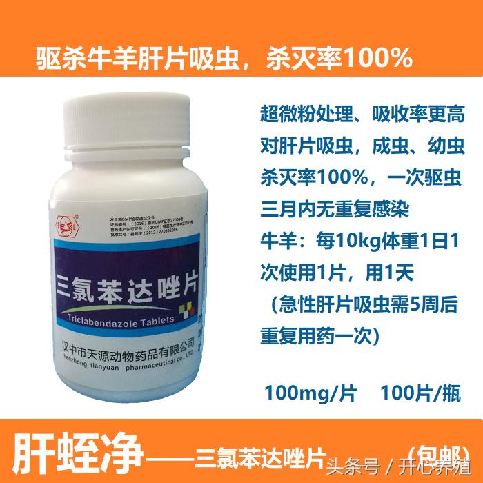 养殖羊常见的寄生虫,养羊技术羊寄生虫病的预防