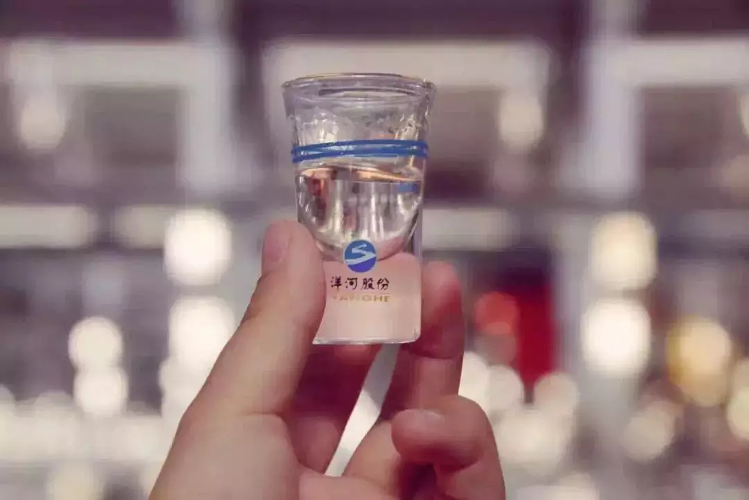 洋河产品价格一览表,洋河新品最新消息