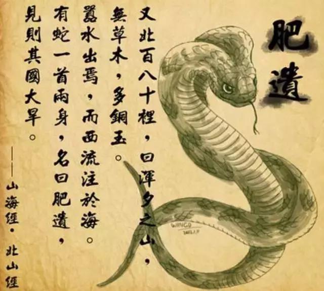 中国上古八大神兽,中国上古神兽中有几位