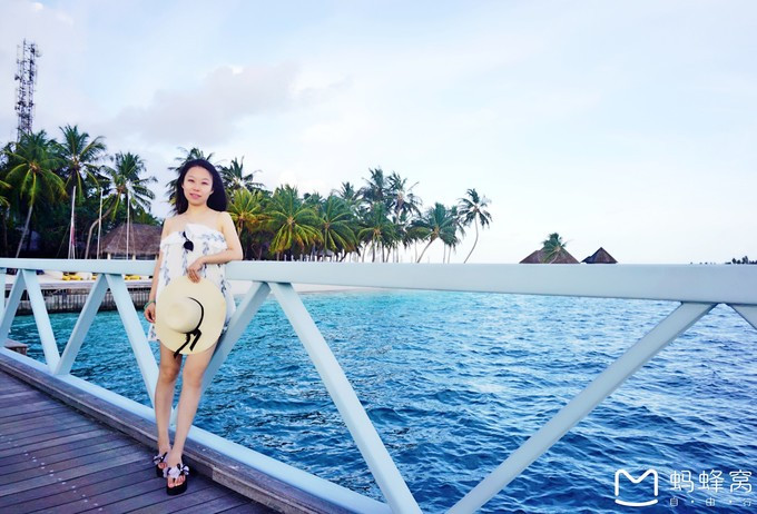 马尔代夫蝴蝶岛,马尔代夫港丽岛属于几星岛