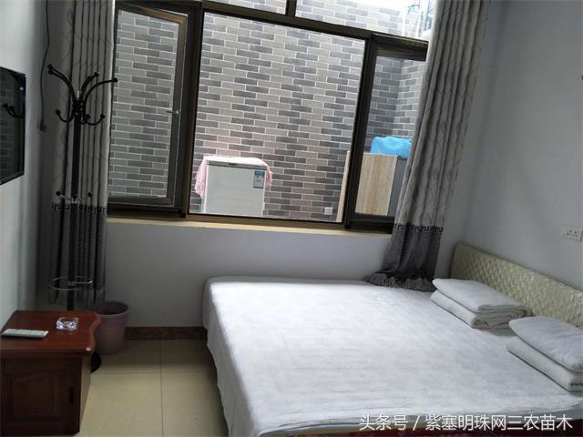 梨木台古树农家院,蓟县梨木台兴业缘农家院