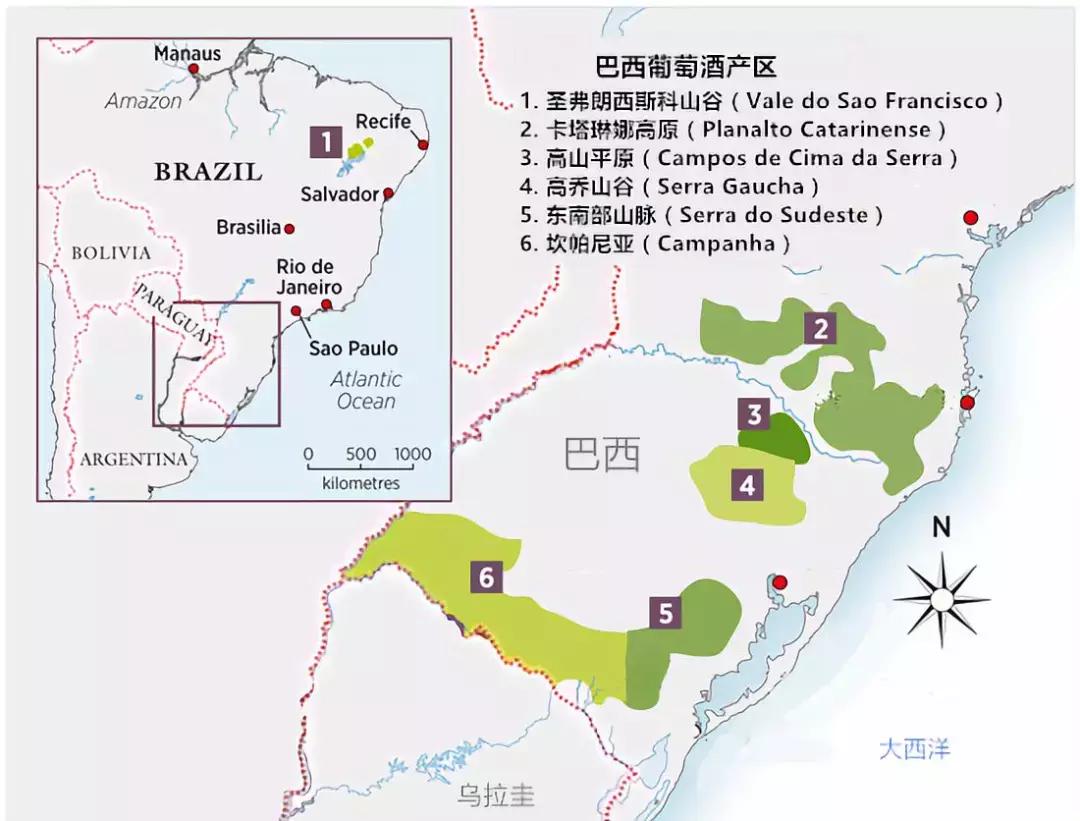 除了足球还有什么球,巴西vs韩国内马尔跳桑巴舞