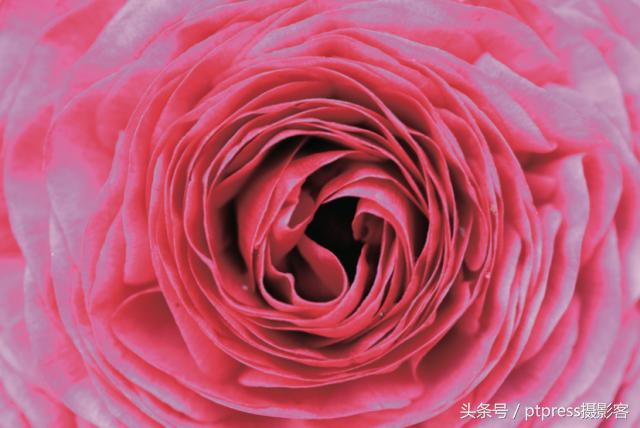 华为手机怎么拍花的技巧,春天拍花的必备技巧是什么