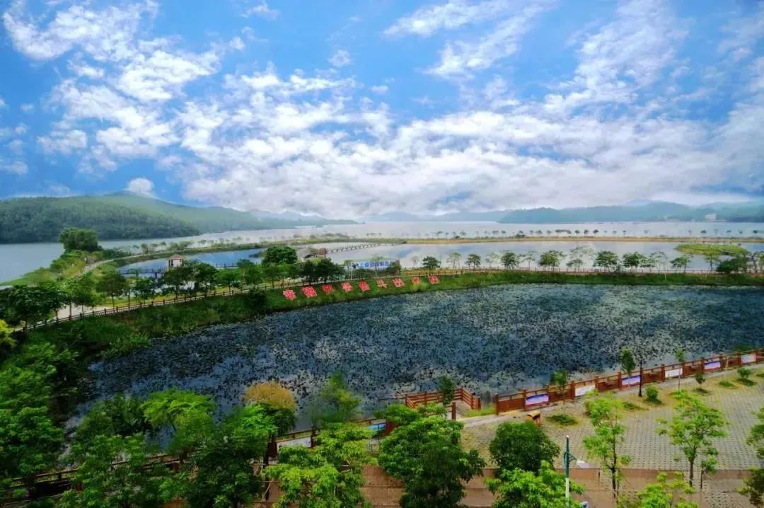 惠州一知名景区恢复开放,惠州这些场所有序恢复开放