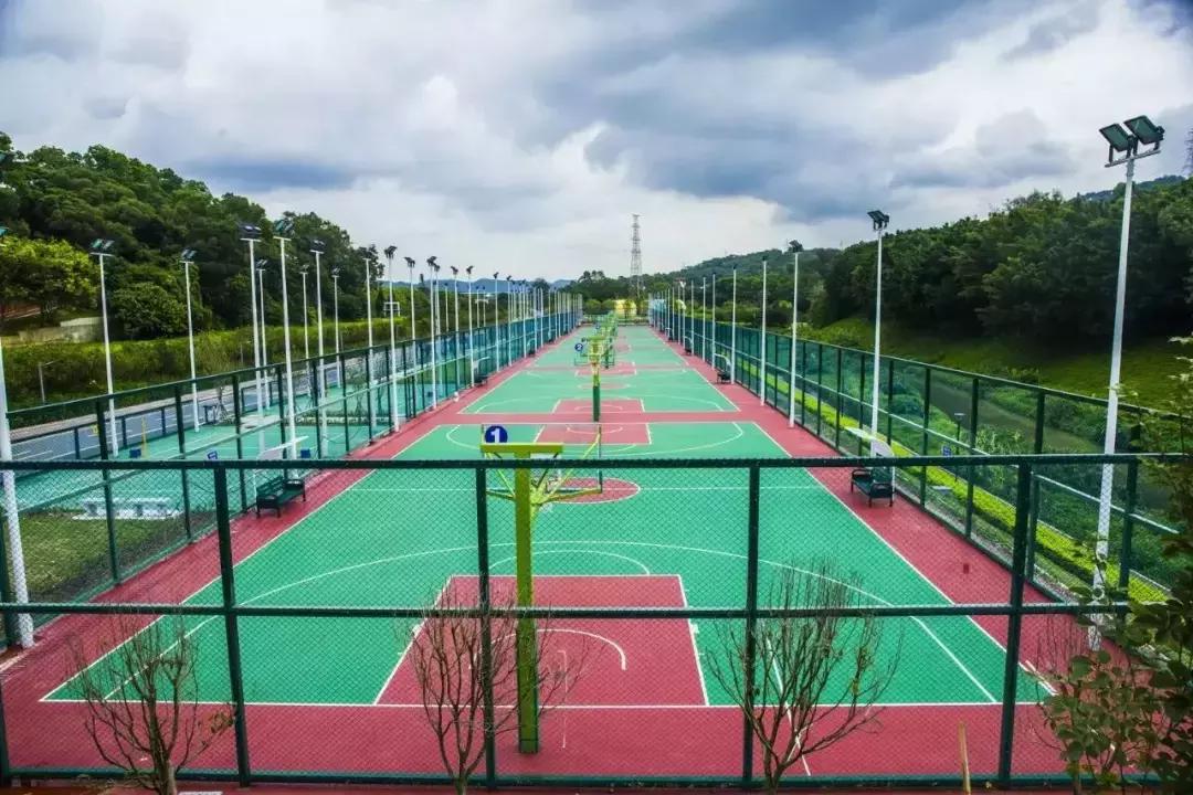 深圳适合春游的地方推荐及理由,深圳不可错过的游玩地方