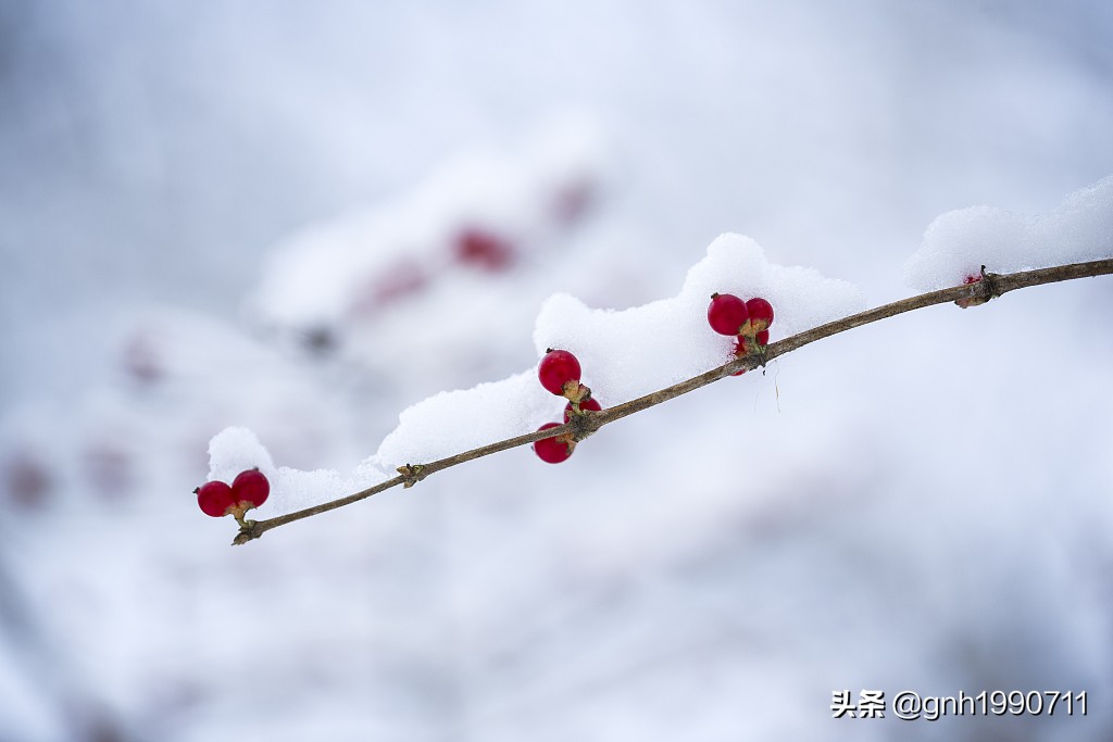 中国下雪最漂亮的城市,当天下雪最美的城市
