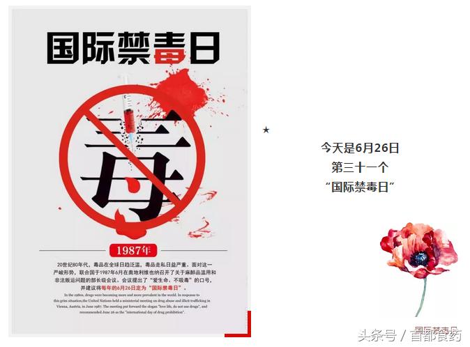 国际禁毒日进社区,禁毒日禁毒药品