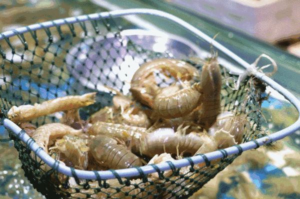 梅西竟是梅菜西兰花？C罗谐音“吸螺”！国足这道菜简直黑暗料理