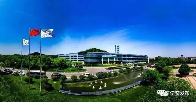 抢了C位还不够！又pick全市第一，它赢了！