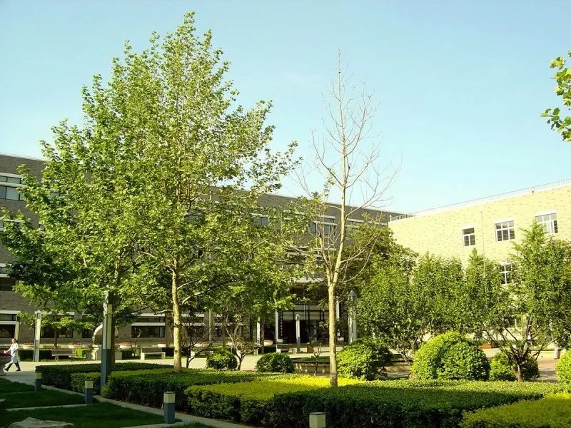 北京二中学校,北京二中的特点