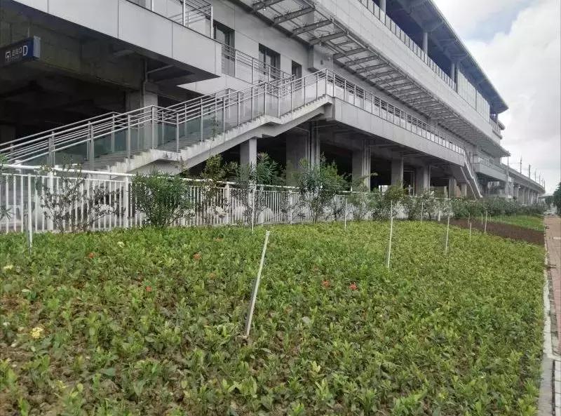 肇庆市场的景色,肇庆新开的农贸市场