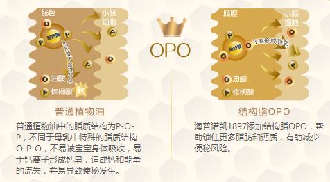 奶粉营养成分表是看100kj还是100g,凡尔赛a21鹦鹉奶粉都有什么成分