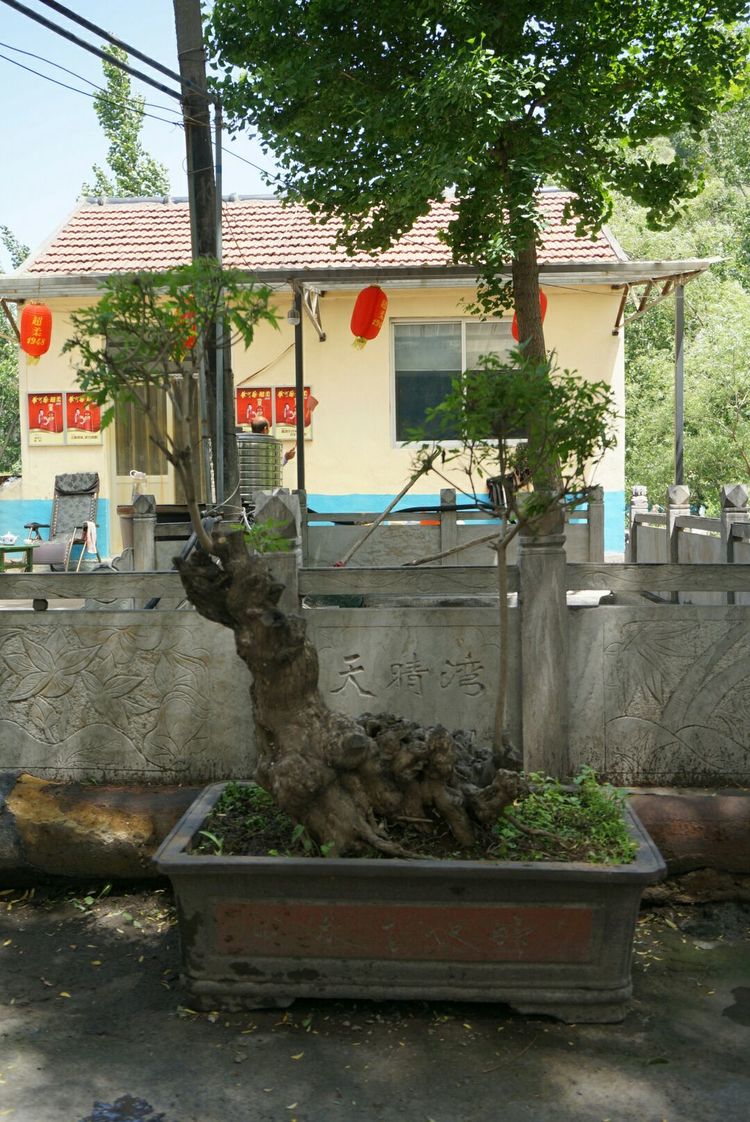 天晴湾风景区,淄川天晴湾