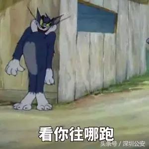 必看教你如何防止车辆被盗,如何处理车辆被套牌了的事情