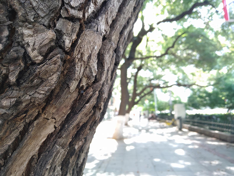 6.8寸刘海屏手机999,红米6pro刘海全面屏