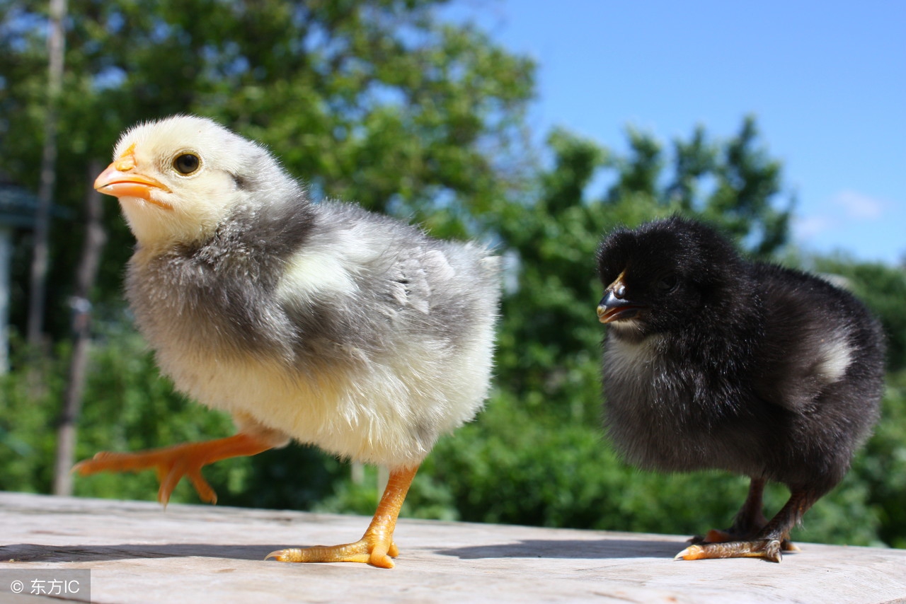 孩子大学毕业了还用给生活费吗,孩子大学毕业迷茫家长怎么做