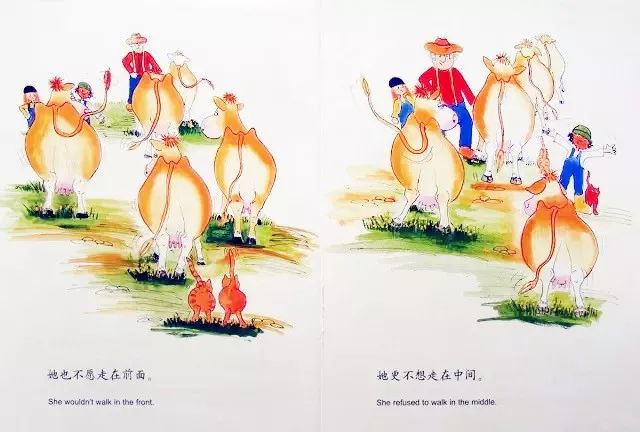 英语0基础从wonderskills开始学,英语零基础如何自学bec